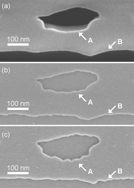 sem-fish-shaped-mask.gif